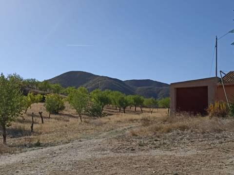 Terreno en calle los Arroyos
