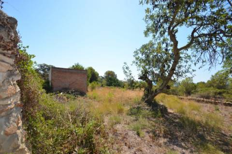 Finca rústica en Carrer de l'Ortoll, 17