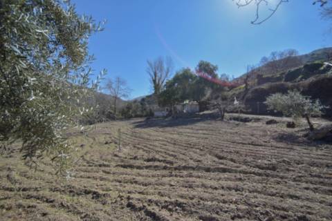 Casa en Sotillejo