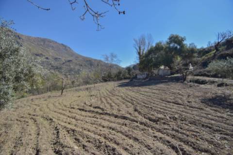 Casa en Sotillejo