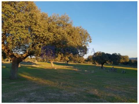 Finca rústica en Monroy