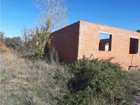 Estudio en Escalona
