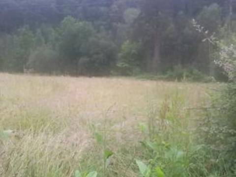 Terreno en Trucios