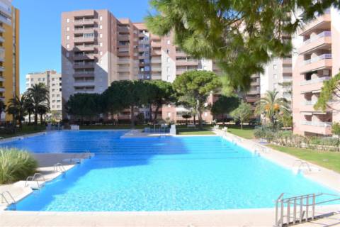 Apartamento en Carrer de Arroz y Tartana, 9